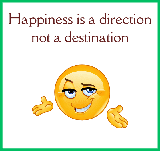 happiness is not a destination, real definition of happiness. happiness quotes by manish