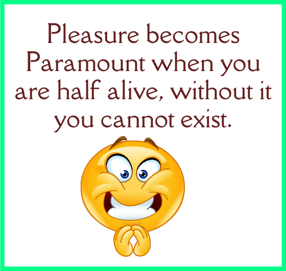 when does pleasure become important and why living a half life is not suitable .